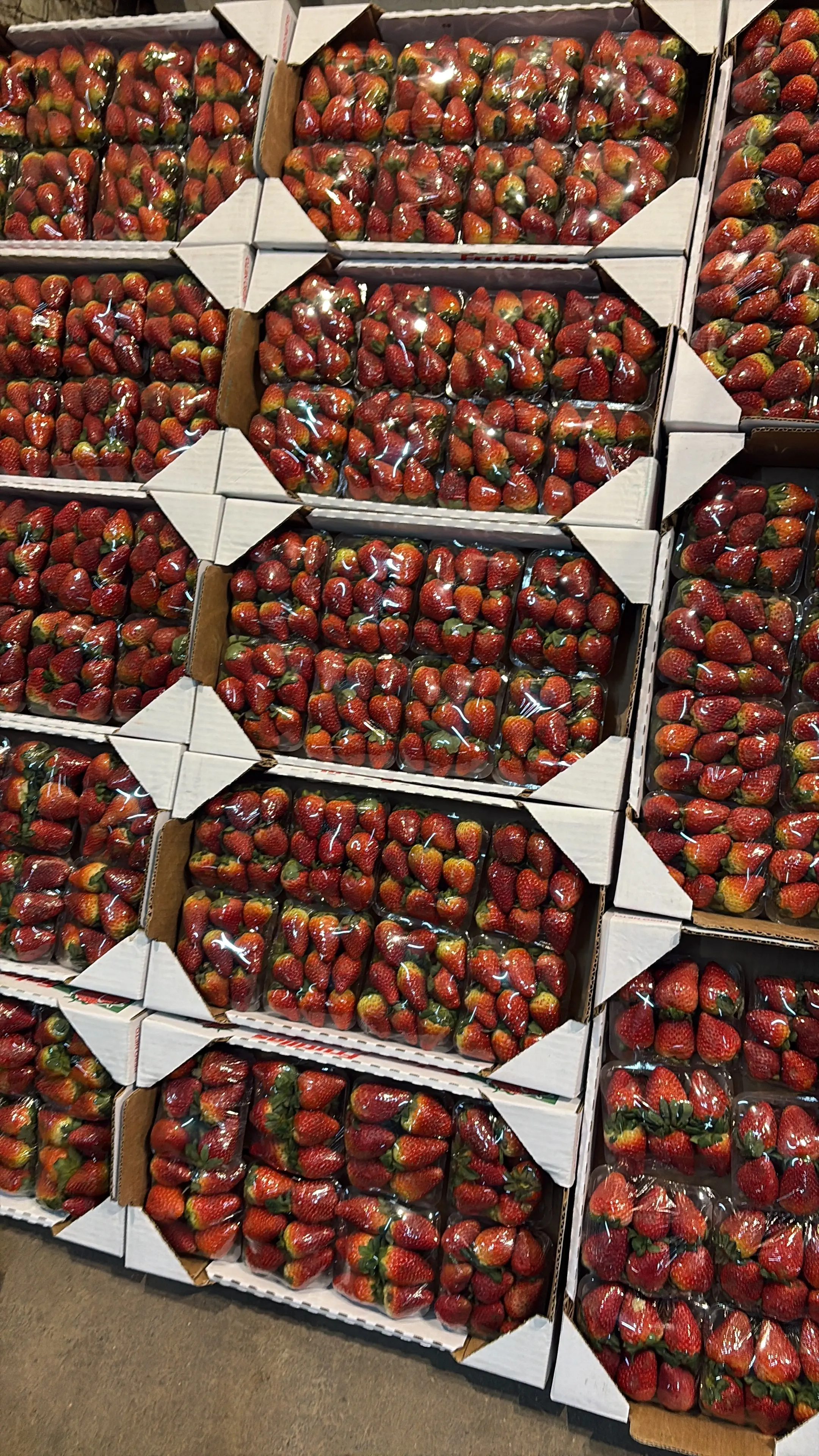 Cajón de frutillas de producción propia